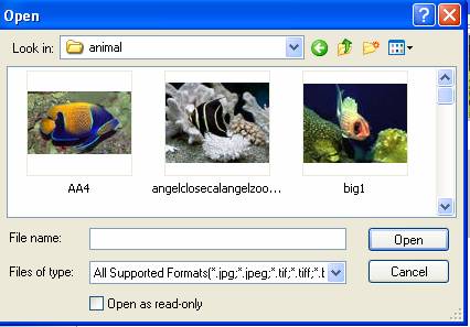 Choose photo image pictures for flash slide show - flash slide shows - pic upload
